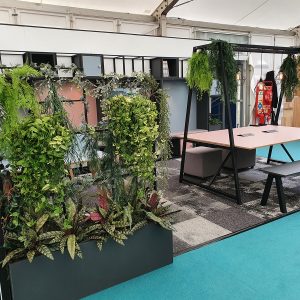 Lush green indoor office plants in a modern workspace with a black metal frame, wooden furniture, office equipment, and colourful decor, creating a fresh and inviting environment.