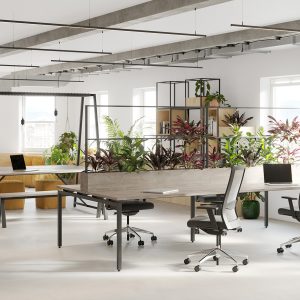 Modern office workspace with open-plan design, ergonomic chairs, and vibrant indoor plants for a productive and fresh work environment.