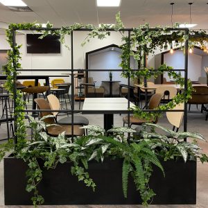 Lush indoor greenery display with various potted plants and hanging vines, creating a vibrant and inviting atmosphere in a modern office or café setting.