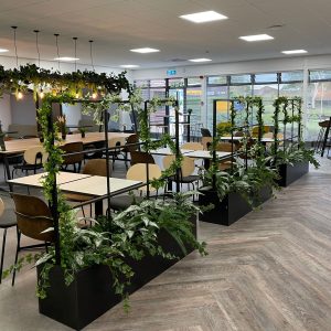 Vibrant indoor cafe with lush greenery and modern decor, featuring black planters, wooden flooring, and ample natural light for a welcoming atmosphere.