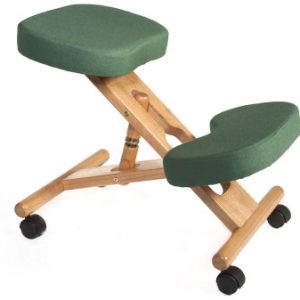 Item Reference - back-care-chairs-IMAGE 12
