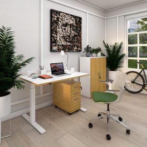 Item Reference - Home-Office-desks-storage-IMAGE 36 .jpg