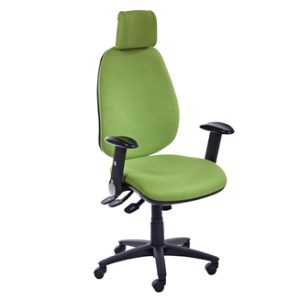 Item Reference - back-care-chairs-IMAGE 13