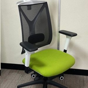 Item Reference - back-care-chairs-IMAGE 55