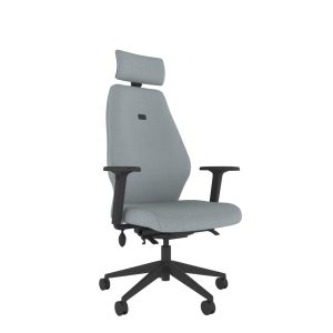 Item Reference - back-care-chairs-IMAGE 57