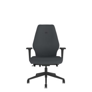 Item Reference - back-care-chairs-IMAGE 59